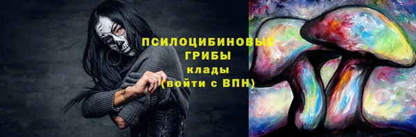 PSILOCYBIN Армянск