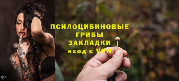 кокс Арсеньев