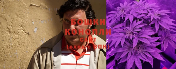 PSILOCYBIN Армянск