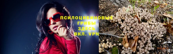 кокс Арсеньев