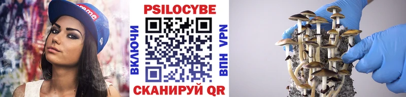 omg как зайти  Сельцо  Галлюциногенные грибы Cubensis  хочу  